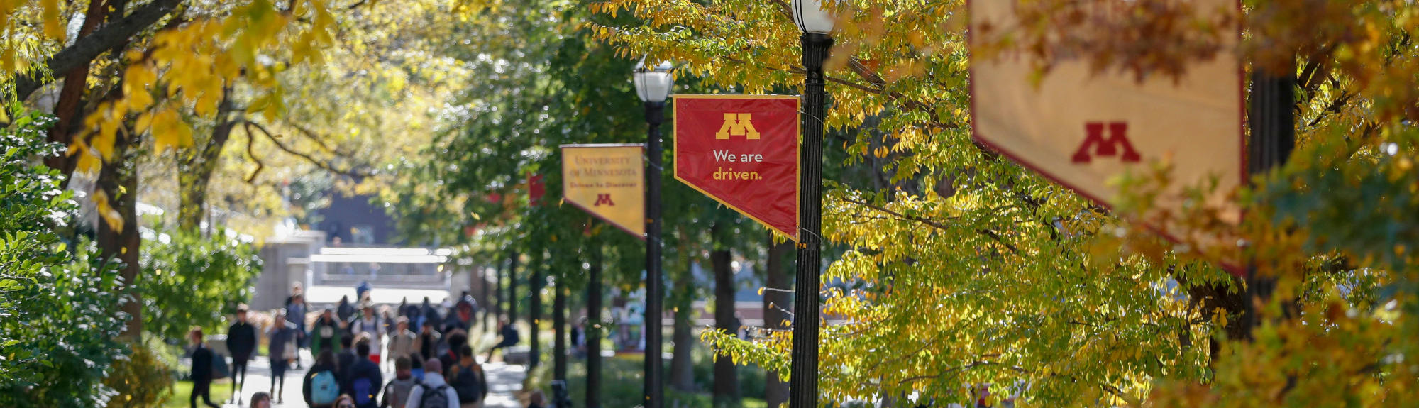 "Driven to Discover" flags along campus sidewalks